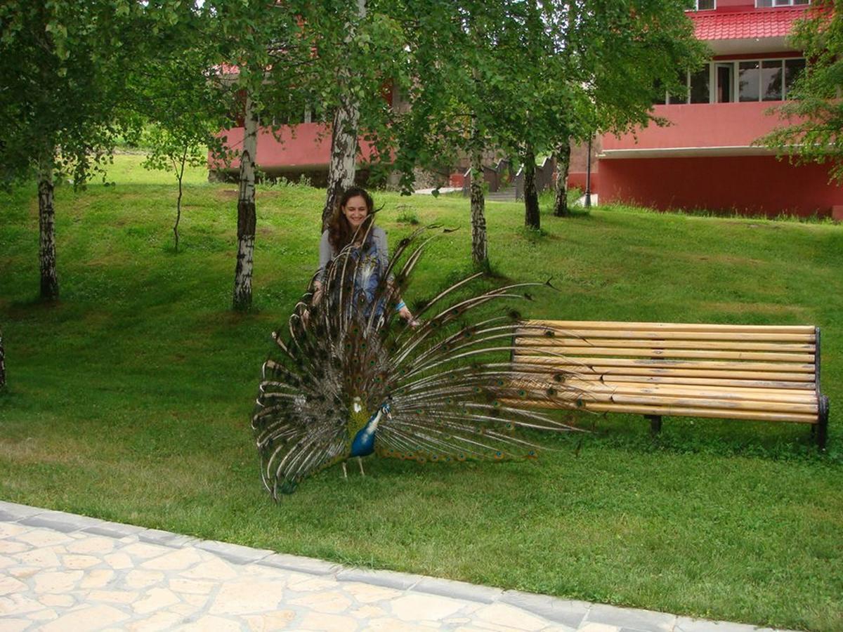 Ani Resort Artavaz Exterior photo